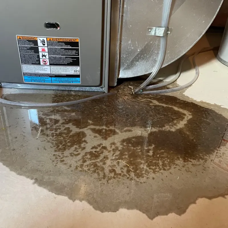 Appliance Leak Cleanup in Marshall, VA